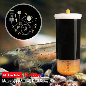 Artimia Brine Egg Shrimp Hatchery Kit Set Incubator Baby Fish Feed Hatch Tool