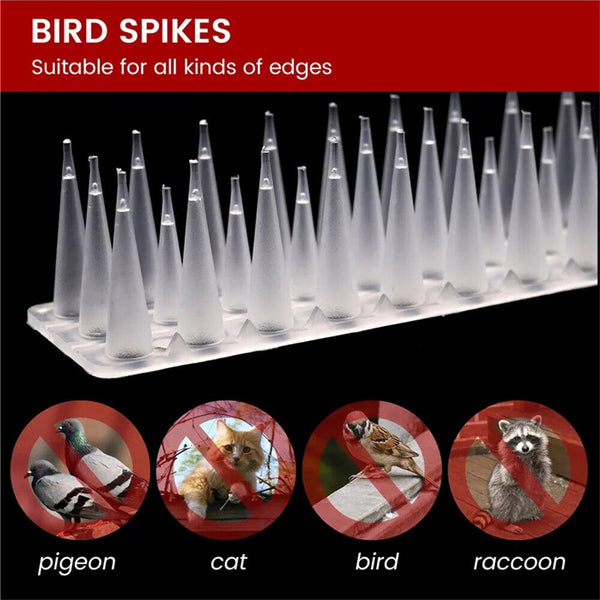 Bird Spikes Deterrent Anti Cat Human Possum Spiked Fence Mouse Pest Control