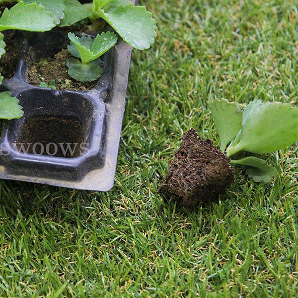 10Pcs Plant Seed Grow Box Propagation Nursery Seedling Tray Starter Gardening