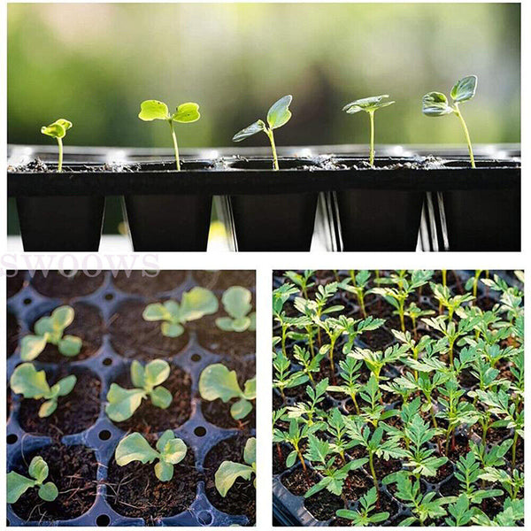 10Pcs Plant Seed Grow Box Propagation Nursery Seedling Tray Starter Gardening