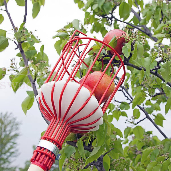 Red Horticultural Convenient Labor saving Fruit Picker Apple Picking Garden Tool