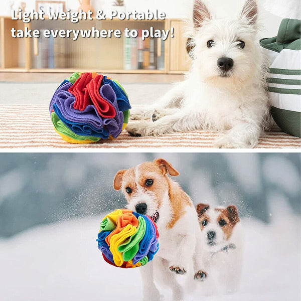 Dog Snuffle Ball Sniffing Training Puzzle Toy for Dogs Cats Pet Toy Game 15/20CM