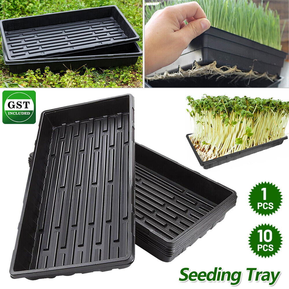 UP50x Garden Black Plastic Rectangle Plant Seedling Propagation Seeding Tray