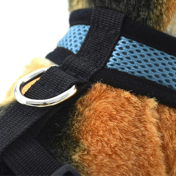 Pet Dog Cat Puppy Soft Leash VEST Mesh Breathe Adjustable Harness Braces Clothes