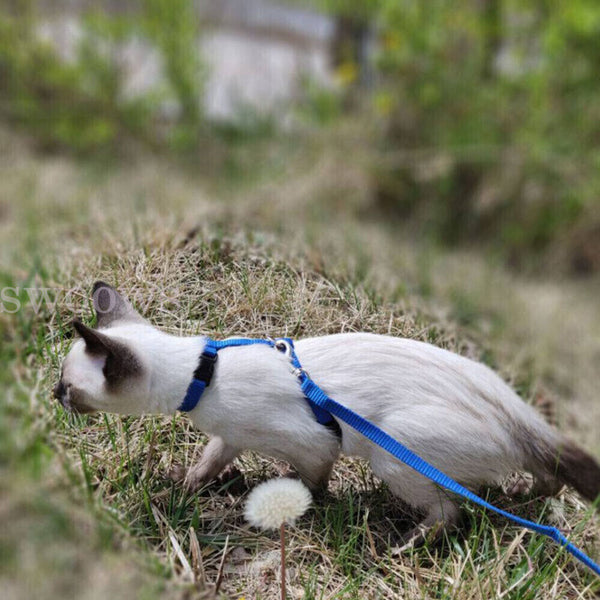 Pet Kitten Cat Walking Harness Lead Nylon Leash Safety Clip Adjustable Collar