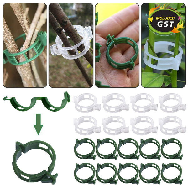 50-200PCS Tomato Greenhouse Ties Veggie Plant Support Clips Garden trellis Stake