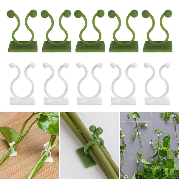 10-50x Invisible Plant Climbing Wall Clip Sticky Hook Vines Fixing Rattan Clips