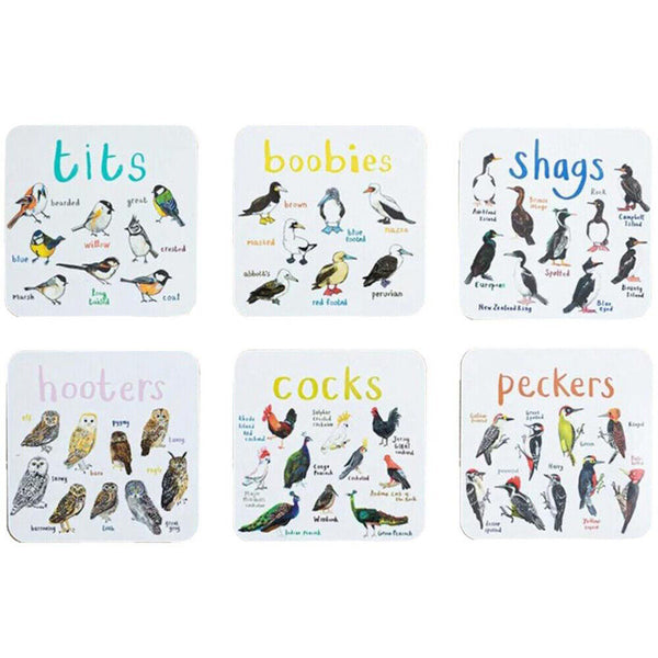 Set of 6 Bird Pun Coasters Funny Coasters Table Protect Cup Mugs Mat for Drink