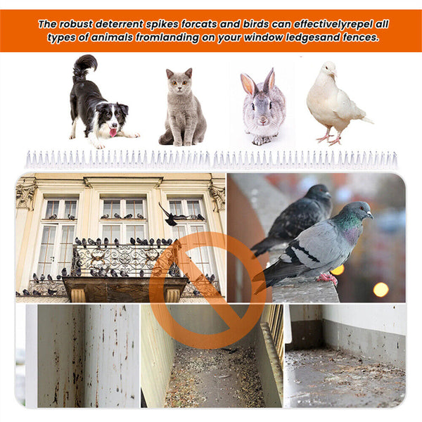 Bird Spikes Deterrent Anti Cat Human Possum Spiked Fence Mouse Pest Control