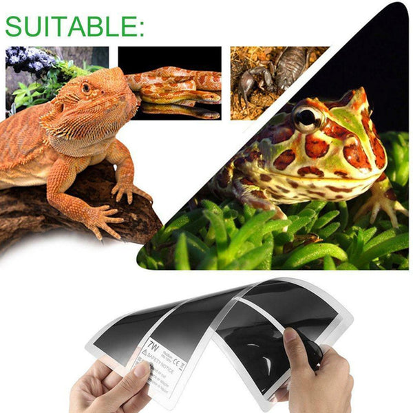 Pet Electric Adjustable Heat Pad Reptile Lizard Heating Mat Warmer Blanket